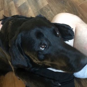 Meet your Posher, Marcus